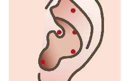 耳は「全身のスイッチ」？耳つぼで心身の不調をケア